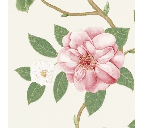 обои Sanderson Voyage of Discovery Wallpapers DVOY213374