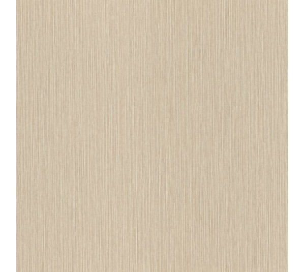 обои Rasch Metal Spirit 977233