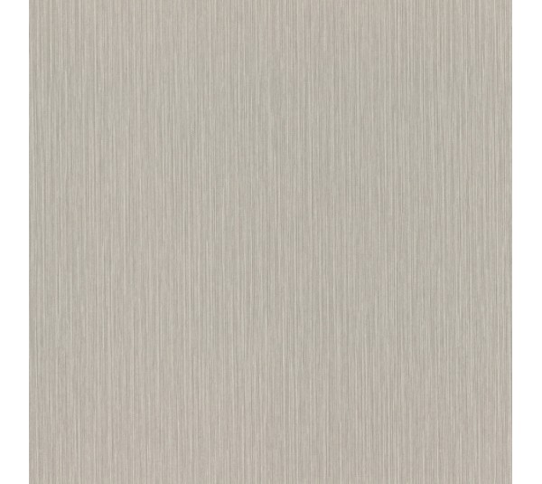 обои Rasch Metal Spirit 977257