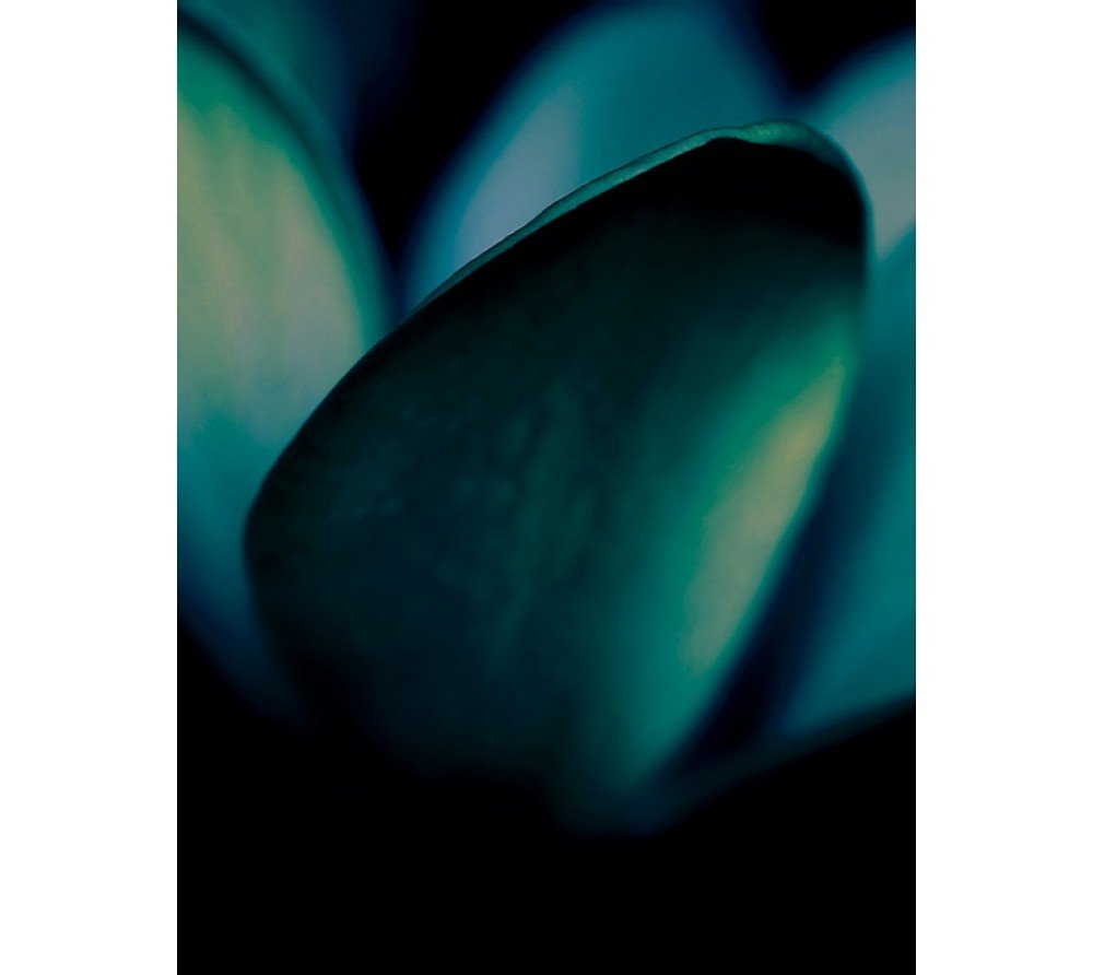 обои Decoprint NV Arcadia EXD18580