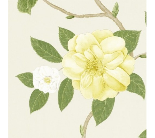 обои Sanderson Voyage of Discovery Wallpapers DVOY213377