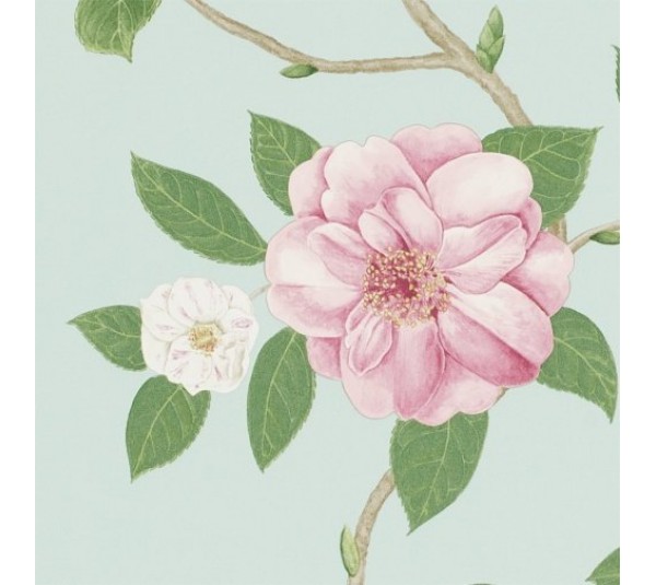 обои Sanderson Voyage of Discovery Wallpapers DVOY213378