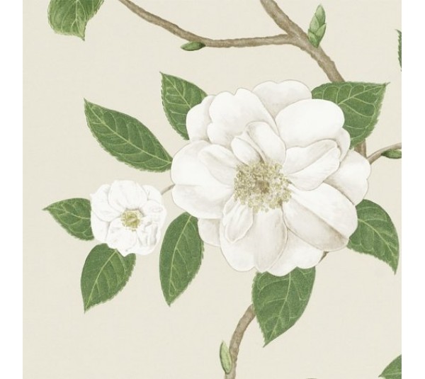 обои Sanderson Voyage of Discovery Wallpapers DVOY213380