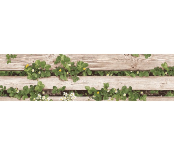 обои Shinhan Natural 2020 87020-1