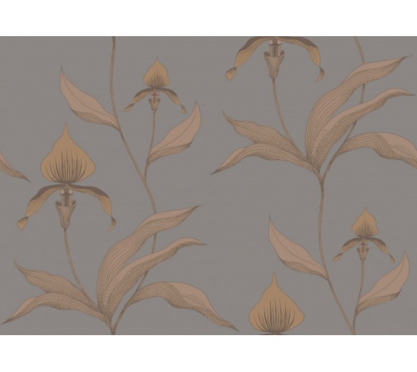 обои Cole & Son Contemporary Collection 95-10056