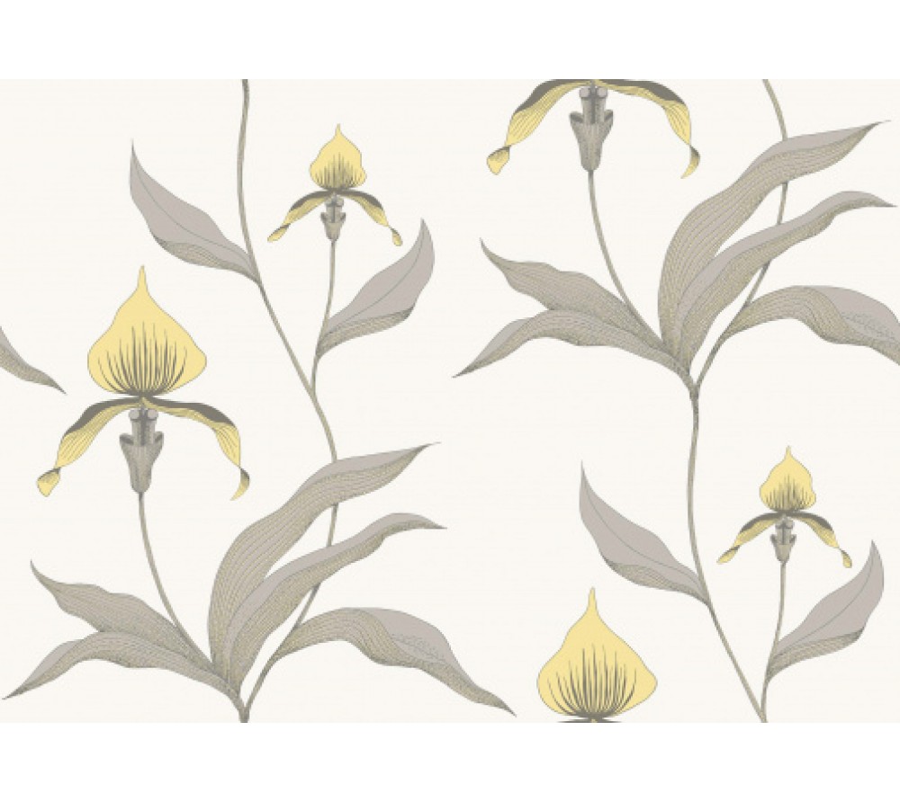 обои Cole & Son Contemporary Collection 95-10057