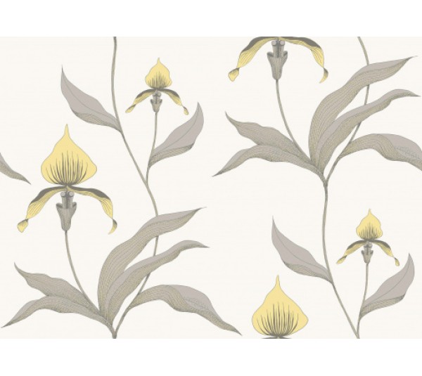обои Cole & Son Contemporary Collection 95-10057