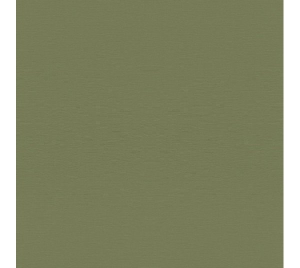 обои Rasch Natural Colors 687538