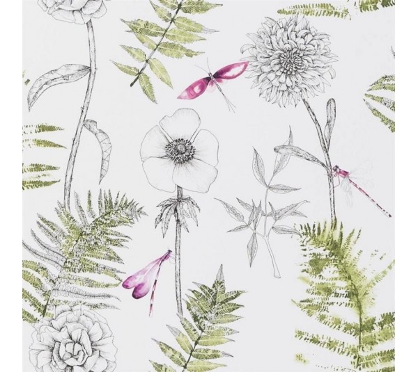 обои Designers Guild Flowers  PDG1022-04