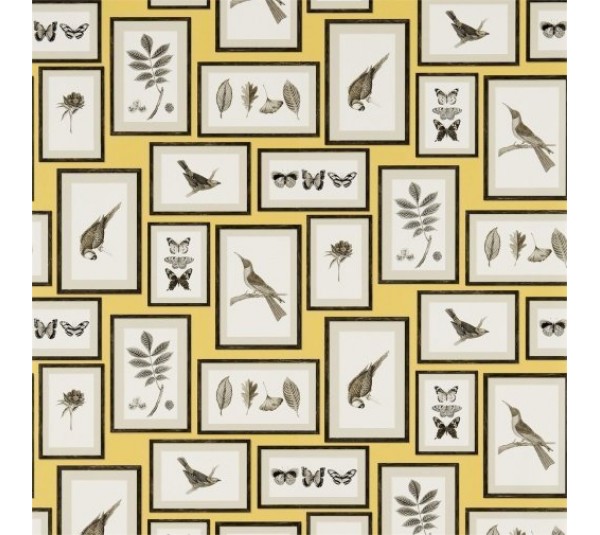 обои Sanderson Voyage of Discovery Wallpapers DVOY213396