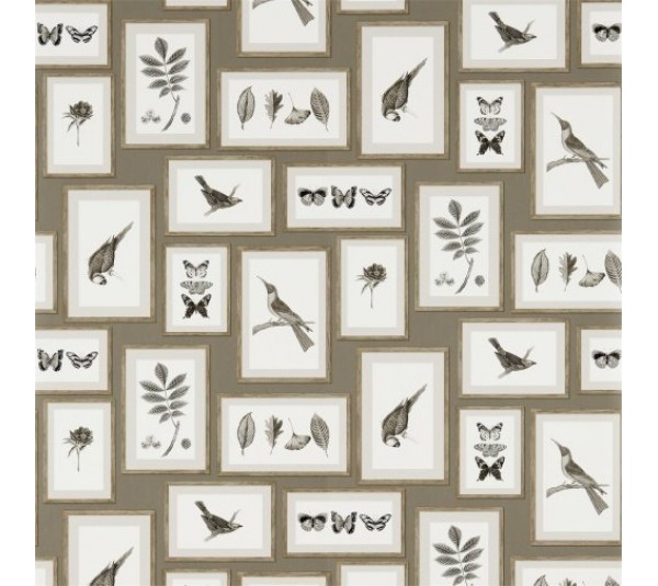 обои Sanderson Voyage of Discovery Wallpapers DVOY213397