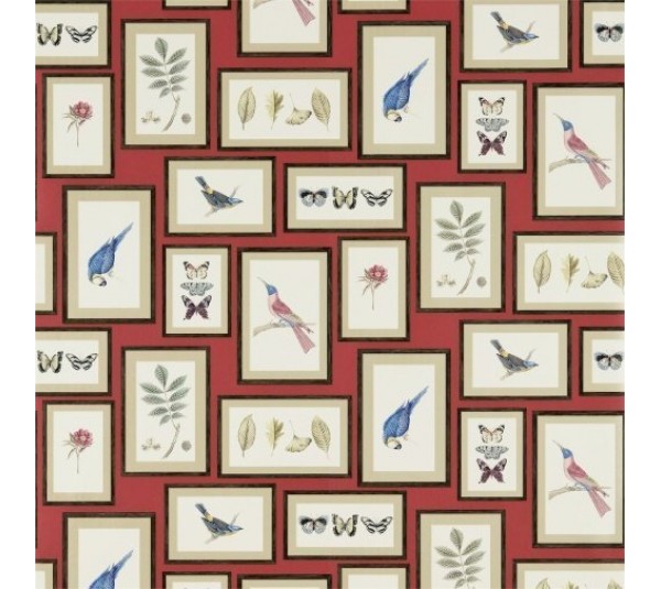 обои Sanderson Voyage of Discovery Wallpapers DVOY213398