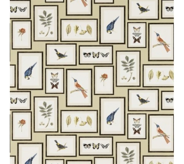 обои Sanderson Voyage of Discovery Wallpapers DVOY213399