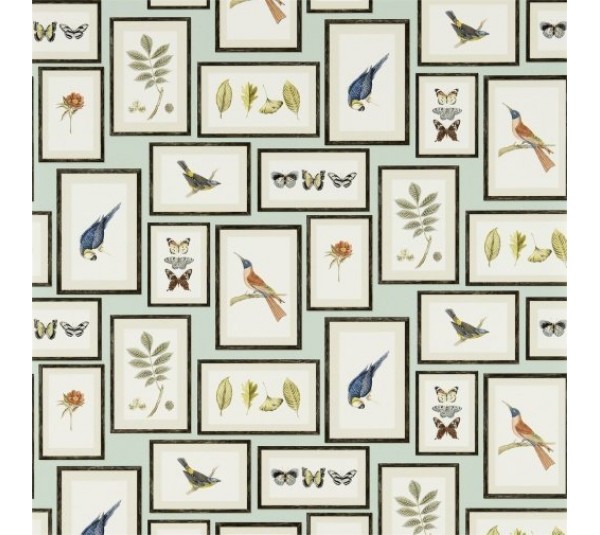 обои Sanderson Voyage of Discovery Wallpapers DVOY213400