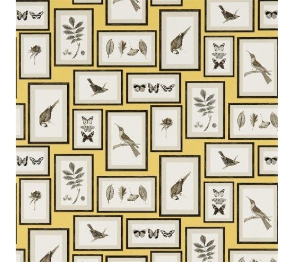 обои Sanderson Voyage of Discovery Wallpapers DVOY213396
