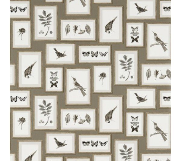 обои Sanderson Voyage of Discovery Wallpapers DVOY213397