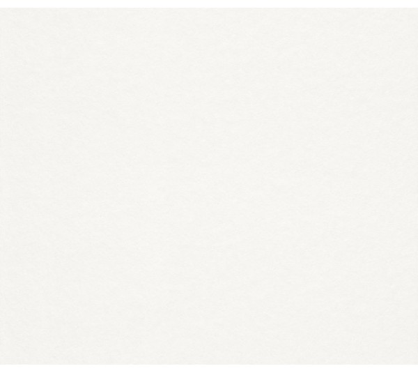 обои Rasch Wallton 167009