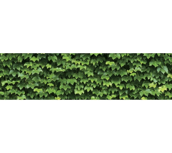 обои Shinhan Natural 2020 88422-1