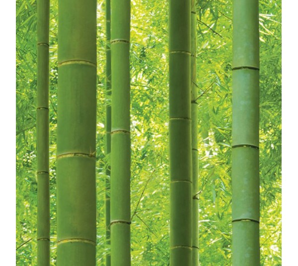 обои Shinhan Natural 2020 88423-1