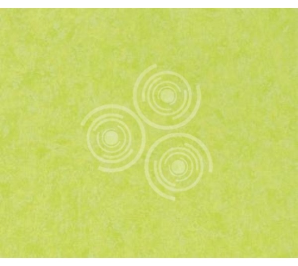 обои Designers Guild Amrapali P575/14