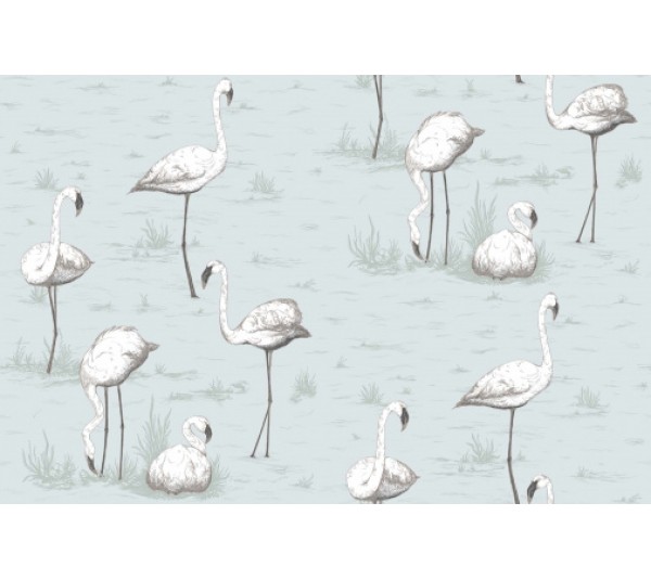 обои Cole & Son Contemporary Collection 95-8047