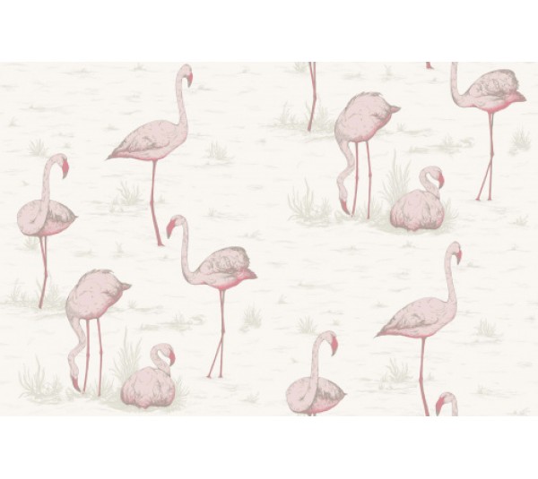 обои Cole & Son Contemporary Collection 95-8045