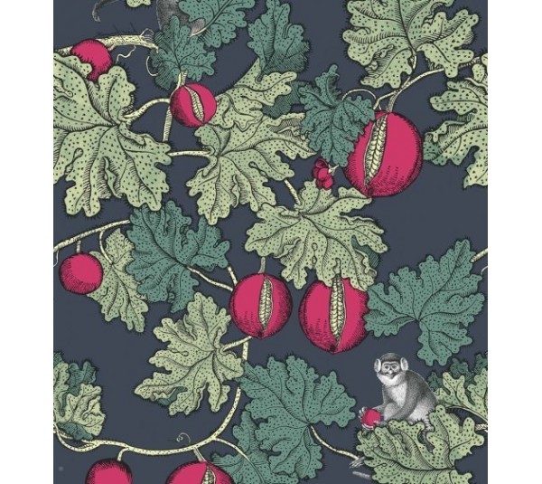 обои Cole & Son Fornasetti 114-1001