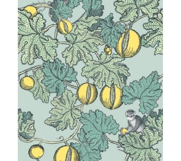 обои Cole & Son Fornasetti 114-1002