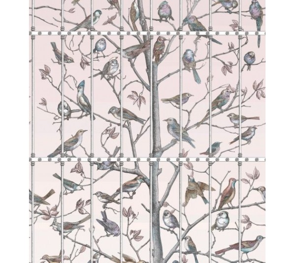 обои Cole & Son Fornasetti 114-11022