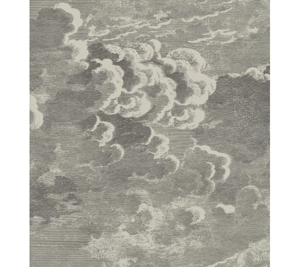 обои Cole & Son Fornasetti 114-2004
