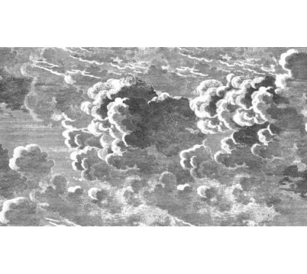 обои Cole & Son Fornasetti 114-28054