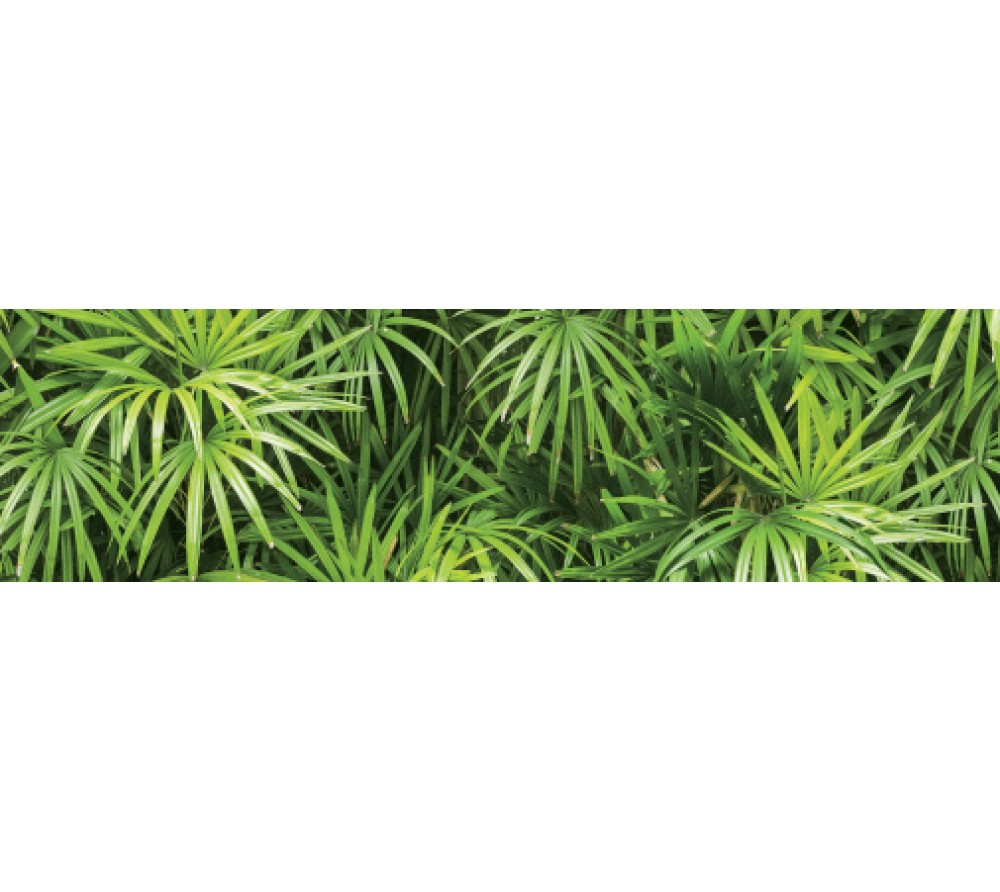 обои Shinhan Natural 2020 88425-1