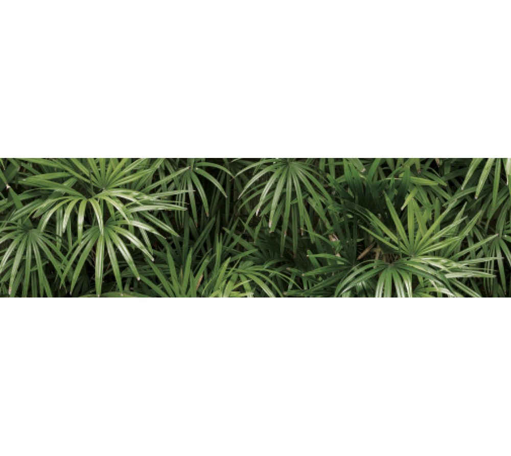 обои Shinhan Natural 2020 88425-2