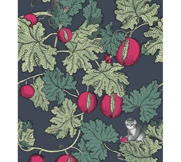 обои Cole & Son Fornasetti 114-1001