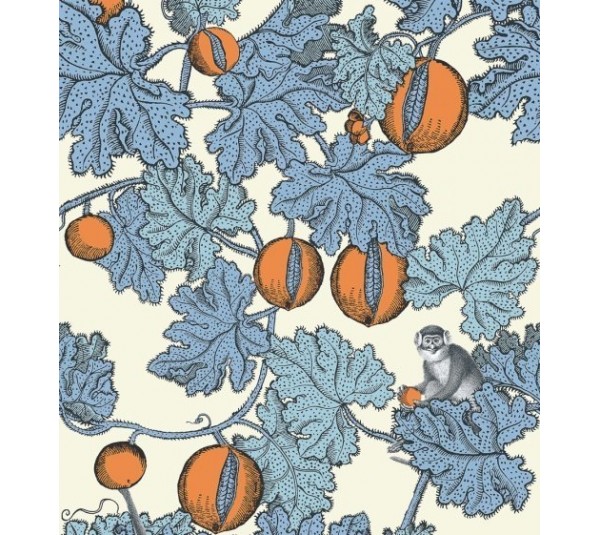обои Cole & Son Fornasetti 114-1003