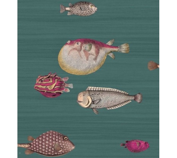 обои Cole & Son Fornasetti 114-12024
