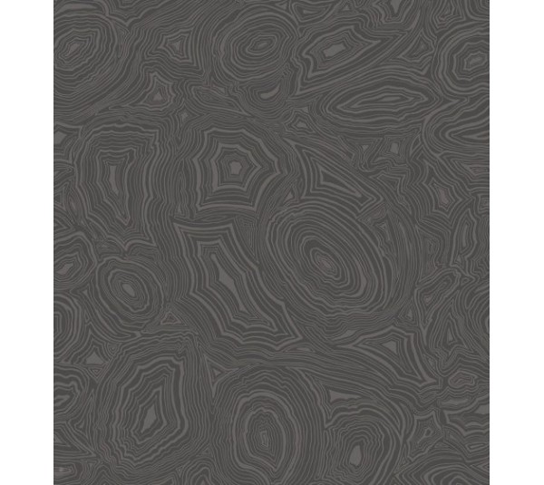 обои Cole & Son Fornasetti 114-6012