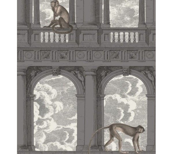 обои Cole & Son Fornasetti 114-8016