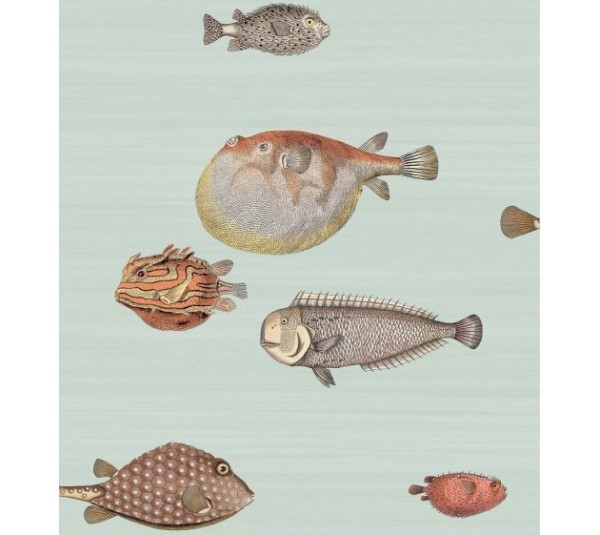 обои Cole & Son Fornasetti 97-10030