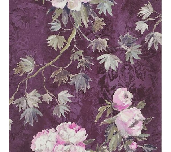 обои Designers Guild Caprifoglio wallpapers PDG673-04 Floreale Damson