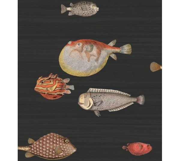 обои Cole & Son Fornasetti 97-10048
