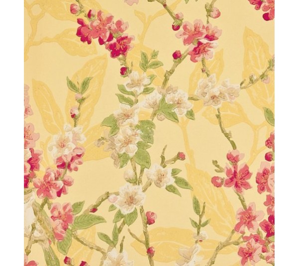 обои Sanderson Classic Collection 2 DCLABS-103