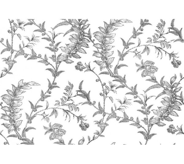 обои Cole & Son Archive Traditional 88/1005