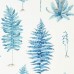 обои Sanderson Glasshouse 216635