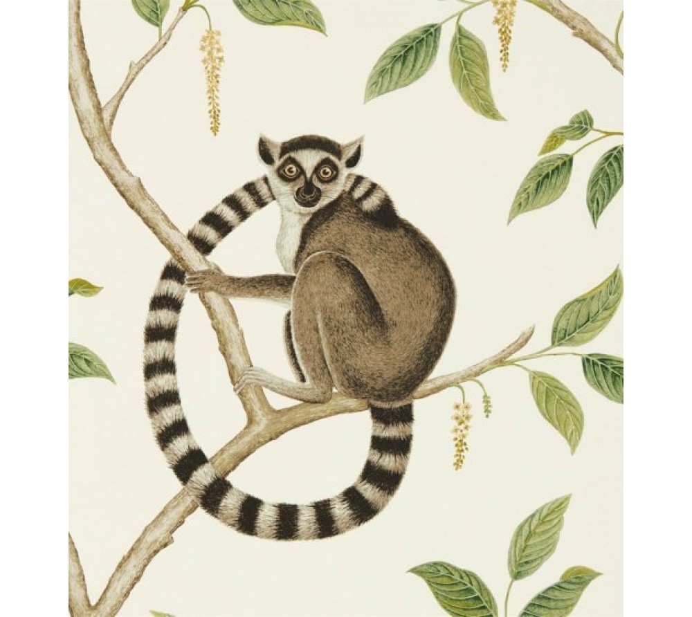 обои Sanderson Glasshouse 216664