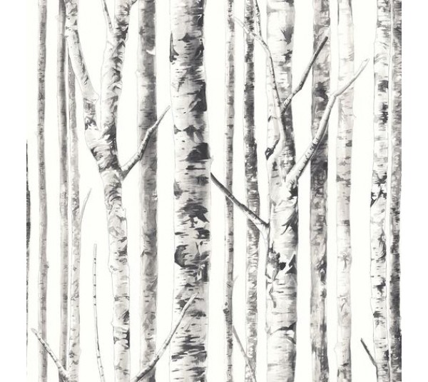 обои KT-Exclusive Mayflower Solaris FJ100114 обои KT-Exclusive Mayflower Solaris FJ100114