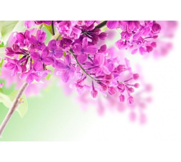 обои Esta Home Ginger 158010