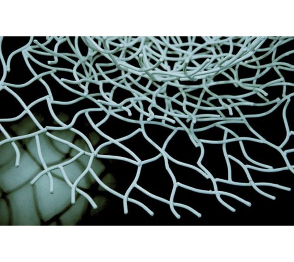 обои ID-Art One 1023