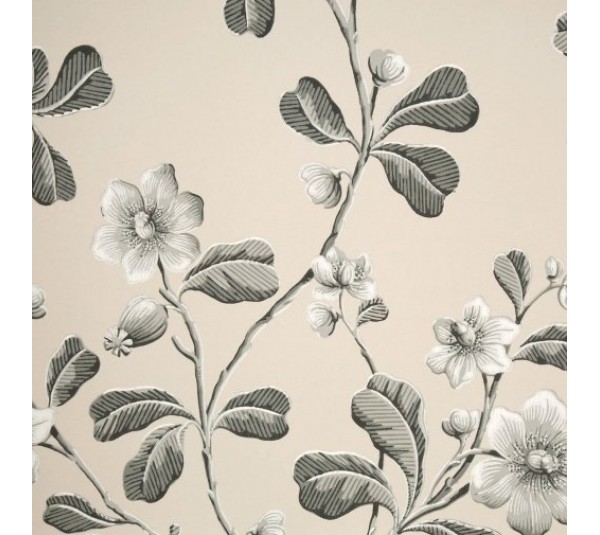 обои Little Greene London Wallpapers 4 0277BRMONOZ