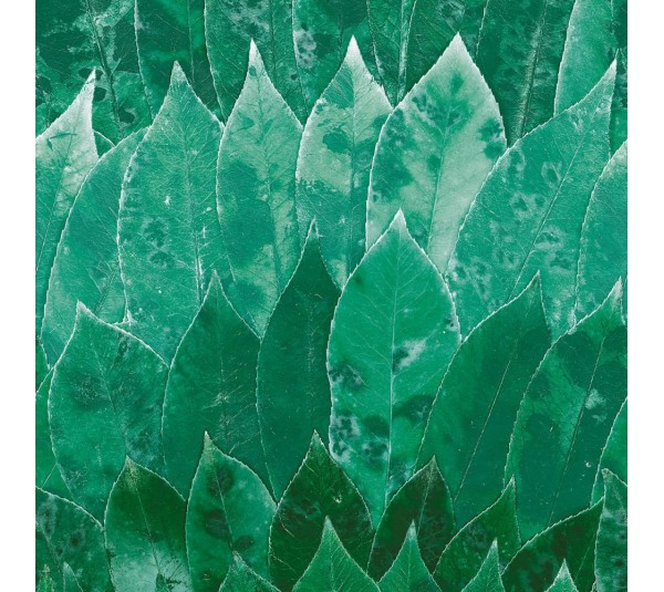 обои Casamance Oxymore 3 77832219